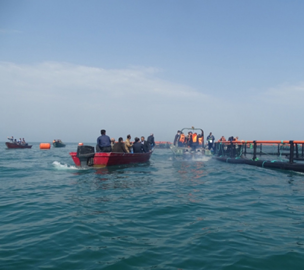 افتتاحيه پروژه پرورش ماهي در كياشهر